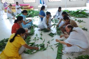 20090609 Photo 1102 1t8PB5ZrKVYcGOKcAhRoQotLPo1wnedKO.JPG