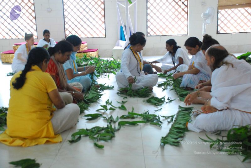 File:20090609 Photo 1104 1fDE4ybXEsJp-5aZs2SUTEqf3f5jRXkOO.JPG