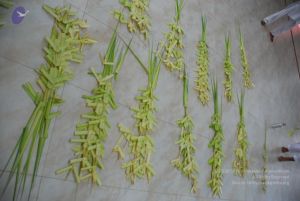 20090609 Photo 1107 1zBnq5faSdnIQJ6Kr-KgaW1trhbCdV7c6.JPG