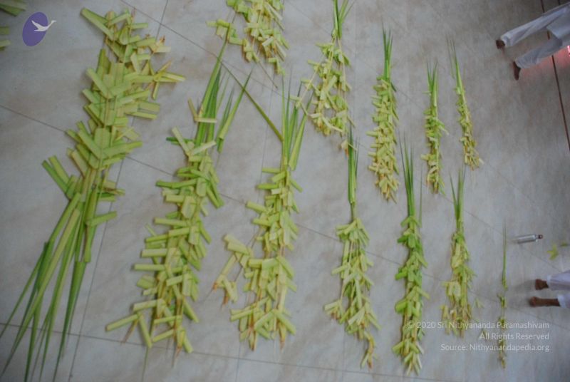 File:20090609 Photo 1107 1zBnq5faSdnIQJ6Kr-KgaW1trhbCdV7c6.JPG