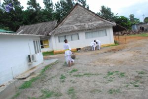 20090609 Photo 1112 1YCOTFmNB6pZAX y6juW96LoFA7agxDzJ.JPG