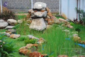 20090609 Photo 1121 1-xUuOYKKsaCS7N4-t1TkDAScnvmWfyqj.JPG