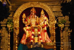 20090609 Photo 1219 1326RMSRynLRogIEnbHJ60iHRD5ahMEeQ.JPG