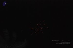 20090609 Photo 1252 16V4mQDcQRZxy3Kuq0SCB6-Cu786FT4cg.JPG