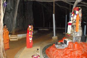 20090609 Photo 1265 1XUHJY-6kIlAXk7KX1Z7ZVjhoHSLYeSt9.JPG