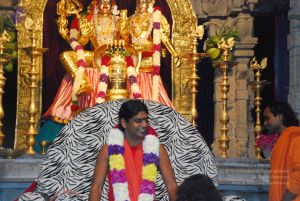 20090609 Photo 1299 1ffkoAW0hs-iL4XdYLdgvOcXgp3dWKPz .JPG