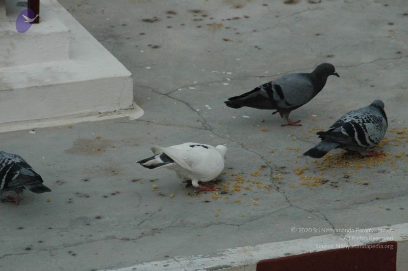 File:20090609 Photo 1389 1i9SYTV-e0nQatSoDNSxacEYl6SxgaLrr.JPG