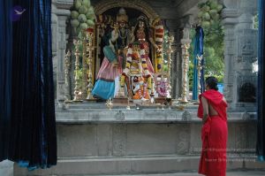 20090609 Photo 1399 1FuO5zO88pFfULM7t2IQA400CpeifA42u.JPG