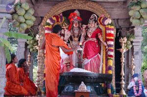 20090609 Photo 1676 16L3QlBGAHriaD3r4ZEWJYYZwQjHrE96d.JPG