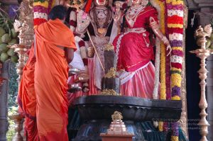 20090609 Photo 1682 1OlV5ahRR8pUccxX t9HWLVqw--DwjqCF.JPG