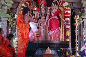 20090609 Photo 1699 18duFzTMZVXS7NEOF8vIBYS0Ujt881YmC.JPG