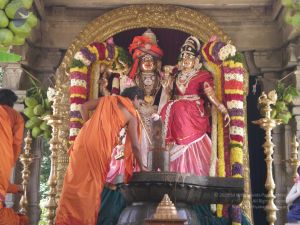 20090609 Photo 1791 1O3l1HpuSzP3qb -T mELd2ySWKdvMmdN.JPG