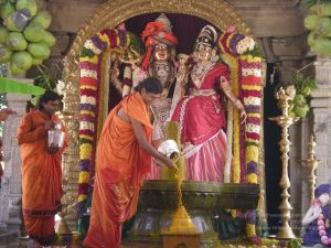 20090609 Photo 1803 15EOM2-RGUTpybMeqrfMeb5K9xISAtYKS.JPG