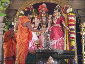 20090609 Photo 1823 1V4Gfe0jOVC6 wlQbT-HivsEeeZ5VnuFA.JPG