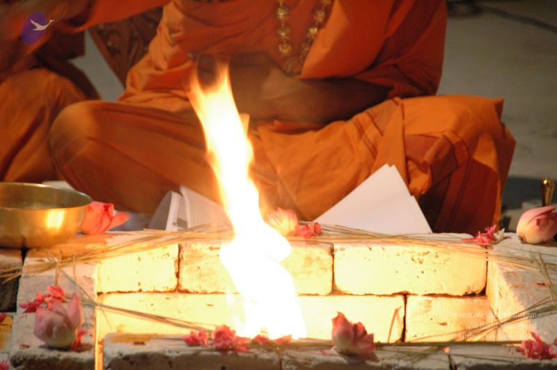 File:20090609 Photo 1879 1H92eWHXac joGicoci7Kf0HhPnwQ24oo.JPG