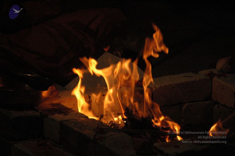 File:20090609 Photo 1907 1wIeIYme2vXFnZF52Q421bsO3rPClRKZ6.JPG