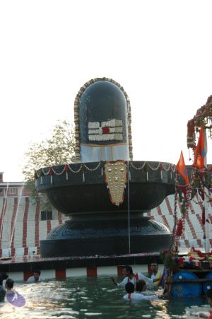 20090609 Photo 2413 17vPt HluBLybK0Wm3 sHgAVCZvrEJS75.JPG