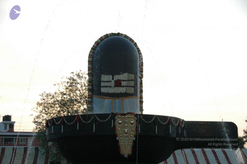 File:20090609 Photo 2419 1NYNjE9p6ZNWbqBWBfbR5brxTSDVWngYe.JPG