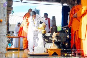 20090615 DSC 0006 CMP WM1.jpg