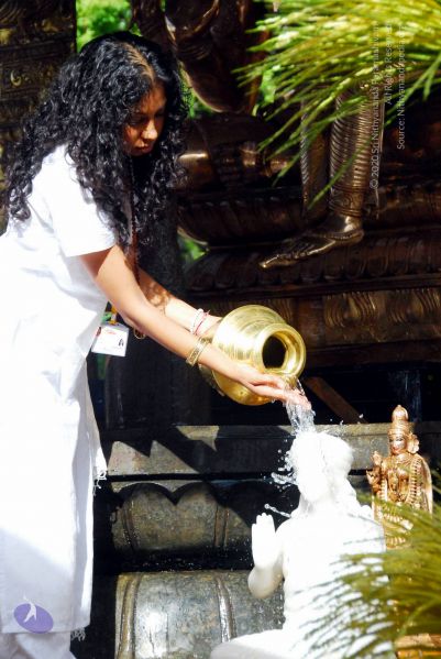 File:20090615 DSC 0017 CMP WM1.jpg