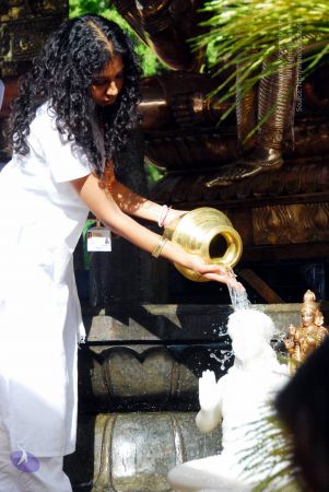 20090615 DSC 0018 CMP WM1.jpg