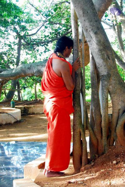 File:20090615 DSC 0036 CMP WM10011.jpg