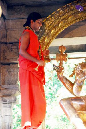 20090615 DSC 0043 CMP WM10011.jpg