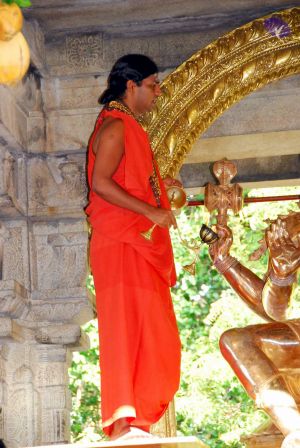 20090615 DSC 0045 CMP WM10011.jpg