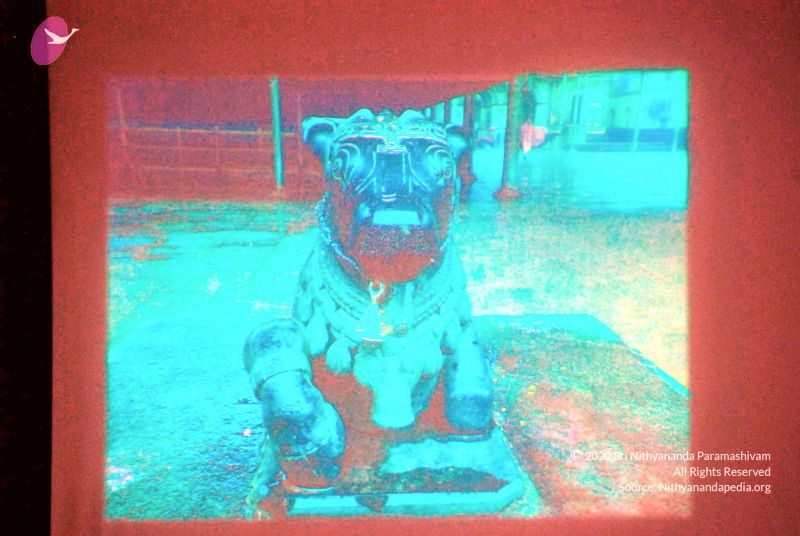 File:20090615 DSC 0175 CMP WM10000.jpg