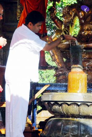 20090615 DSC 0207 CMP WM10011.jpg