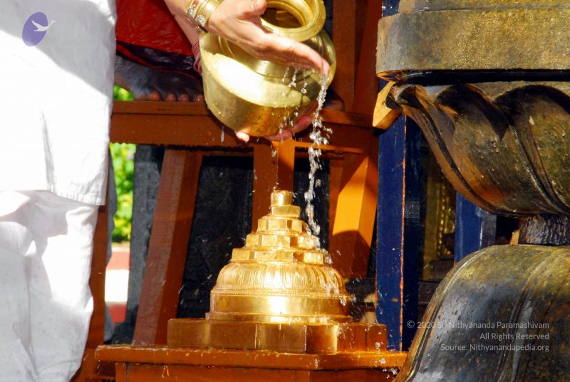 File:20090615 DSC 0221 CMP WM10011.jpg