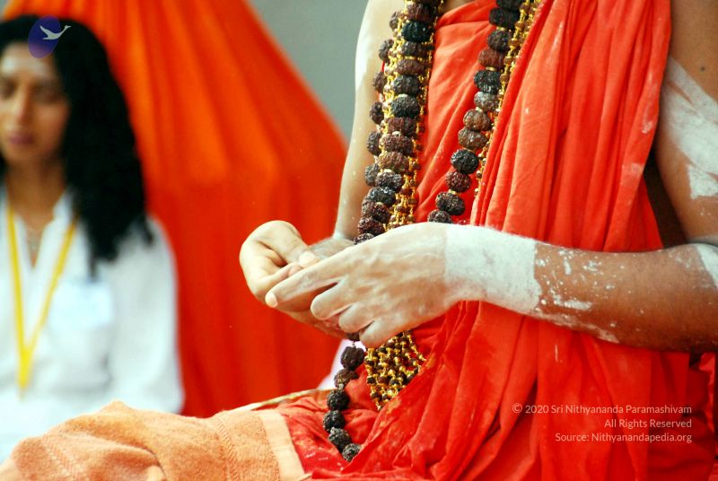 File:20090615 DSC 0242 CMP WM1.jpg