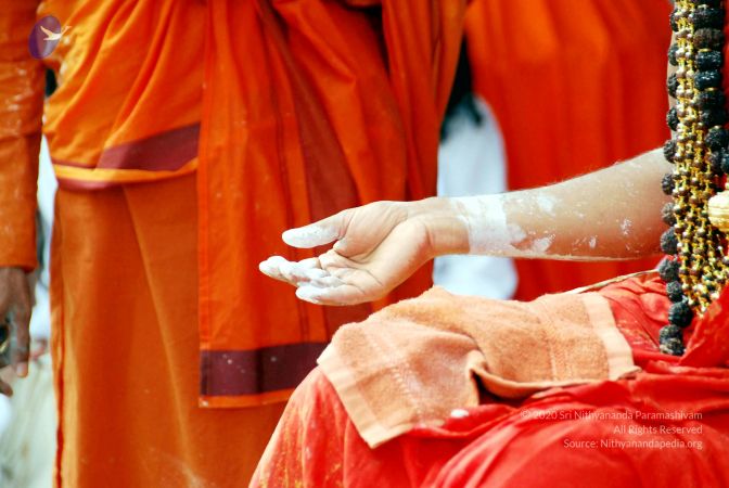 20090615 DSC 0246 CMP WM1.jpg