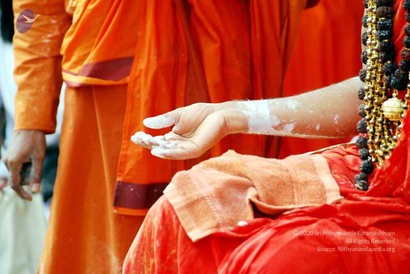 File:20090615 DSC 0247 CMP WM1.jpg