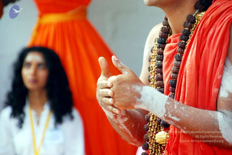 File:20090615 DSC 0255 CMP WM1.jpg