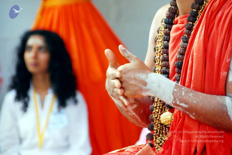 File:20090615 DSC 0257 CMP WM1.jpg