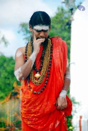 20090615 DSC 0334 CMP WM1.jpg