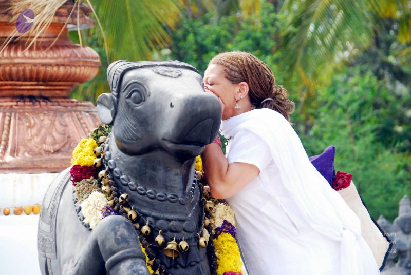 File:20090615 DSC 0344 CMP WM1.jpg