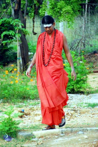 File:20090615 DSC 0350 CMP WM1.jpg