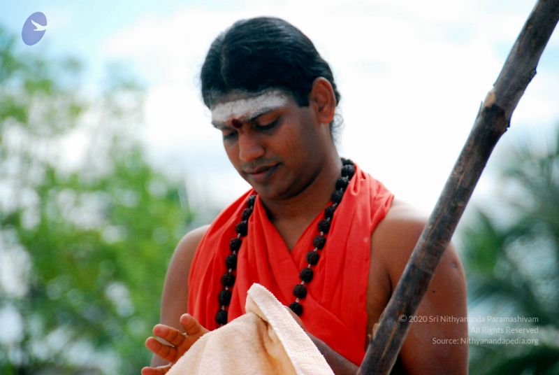 File:20090615 DSC 0573 CMP WM1.jpg