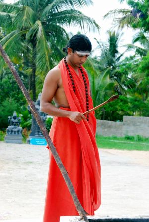 20090615 DSC 0626 CMP WM1.jpg