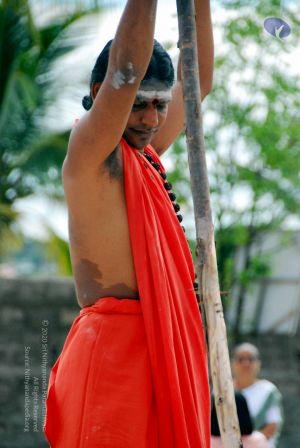 20090615 DSC 0653 CMP WM1.jpg