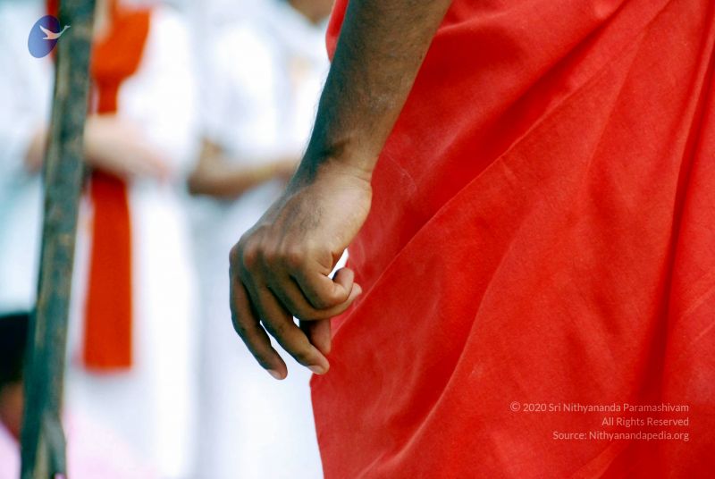 File:20090615 DSC 0686 CMP WM1.jpg