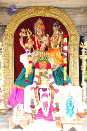 20090615 Photo 1358 1Kp2tyVJPq64qK4Cei79fgNoqmjb3LdnO.JPG