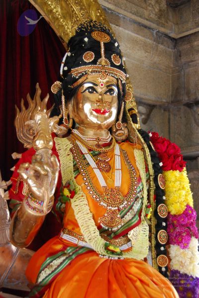 File:20090615 Photo 1371 1MKK9VHbiBClO7Is3T6nKbZStqcktqDdu.JPG