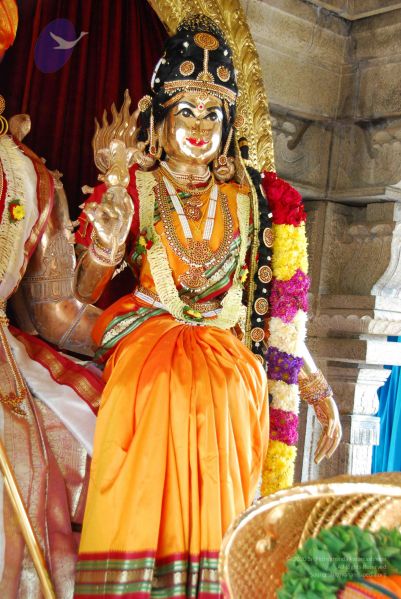 File:20090615 Photo 1387 1VIYubjP4vAXcj06ivivPyHOTrDvka9m8.JPG