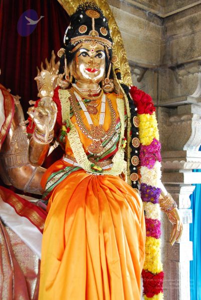 File:20090615 Photo 1388 1NA-eA59OwLZJiYHziOwsRSuiAL2AO6Y6.JPG