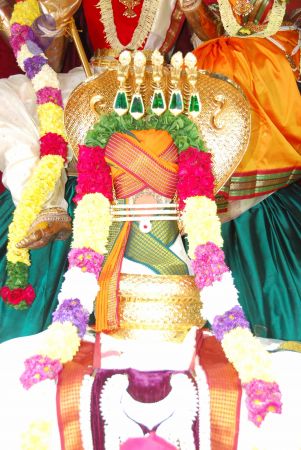 20090615 Photo 1403 1nRJ S5whgsbrSLYqmrukO1coeseJjnKP.JPG