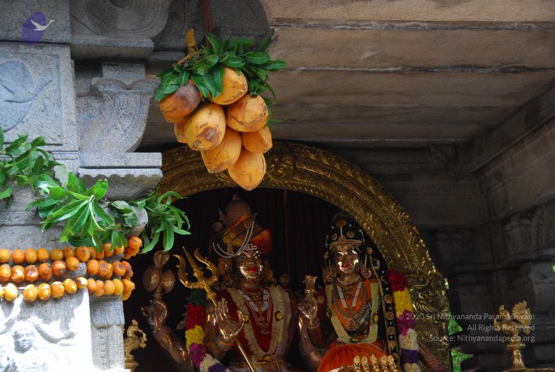 File:20090615 Photo 1414 1Zf1Tt2zuJVwvi6OLDByL8BxC3y2m00PG.JPG