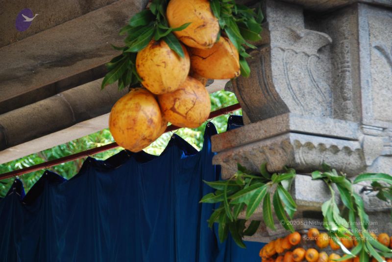 File:20090615 Photo 1415 1-rqLj0n9s2oLX4vl3oH55BUpnIZAkghk.JPG